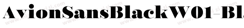 AvionSansBlackW01-Black Regular字体转换